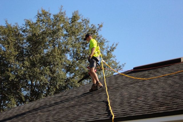 Wildlife control worker with fall prevention equipment