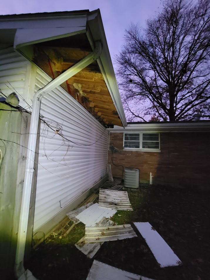 Raccoon damage to property