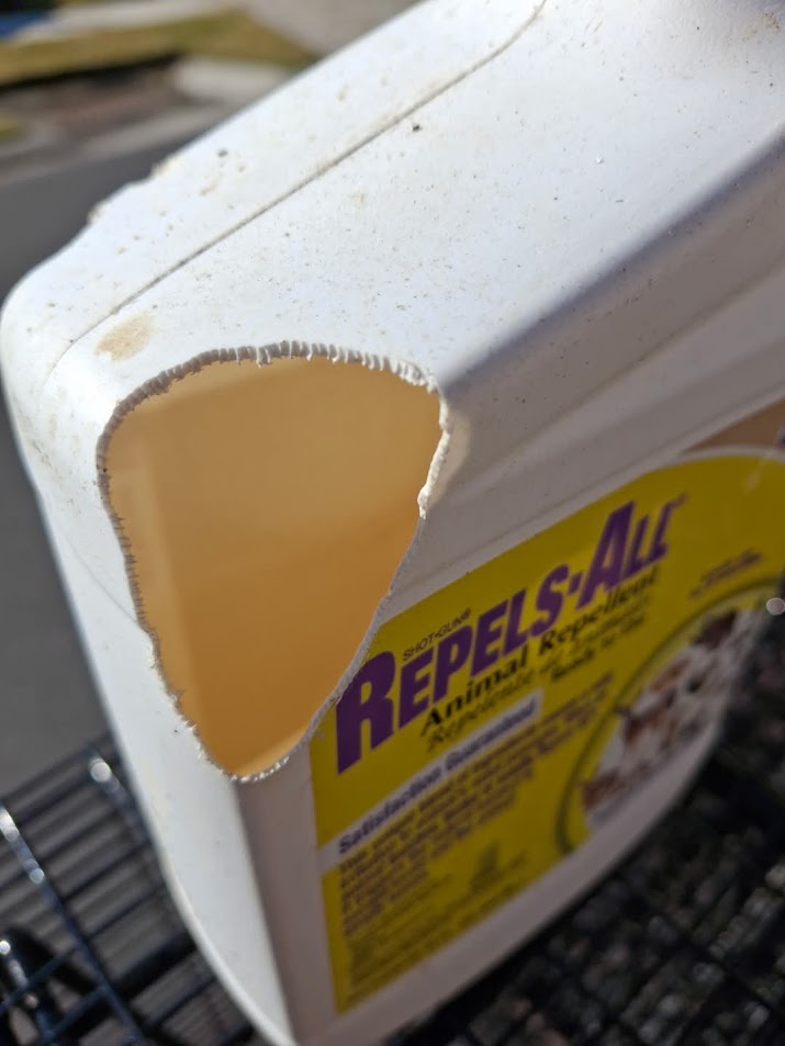 Rodent damage to repellent